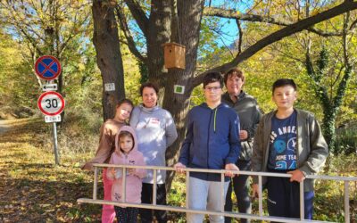 Környezettudatoság éve a HOTE-ban madárodú kihelyezés!