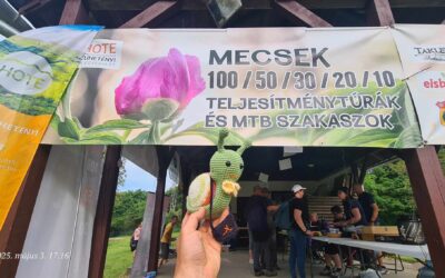 Mecsek 100/50/30/20/10 és MTB 50/35
