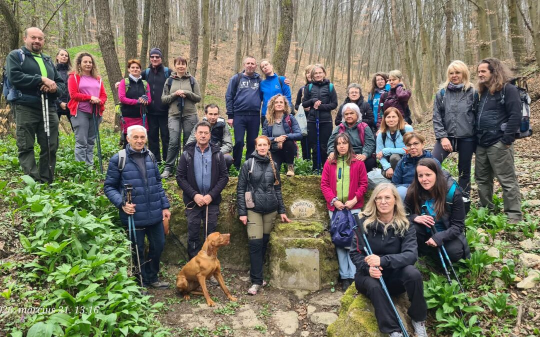 XLI. Csokonay Sándor Emléktúra